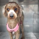 지산지구대 이미지