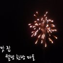 정선패러마을