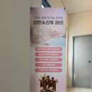 테라피도림