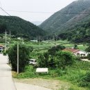 고운리농장 네이버블로그