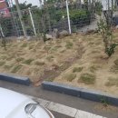 두리조경 이미지