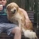 해탈, 그 이후의 이미지