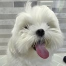 김포24시 힐 동물의료센터 이미지