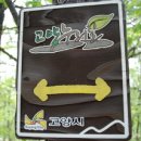 국사봉 지석묘군 이미지