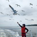 25년6월13일(금)인천:승봉도트레킹:목섬.촛대바위.코끼리바위.부채바위.이일레해변/오이도역8시 이미지