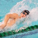 인천광역시 문학박태환수영장 경영풀 이미지