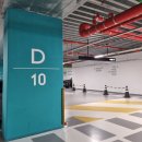 비즈아쿠아수족관 | 대전 엑스포 아쿠아리움 할인 신세계 주차 어른도 좋아할 인어공주쇼, 액티비티 총 정리