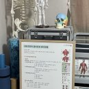 문스헤어 | 장락동 | 문스힐링터치 | 제천어깨통증,클리닉 효과 제대로..