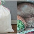 진례초등학교 이미지