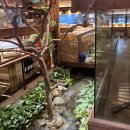 뷔페식당 이미지