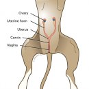 베이시티 동물병원 이미지