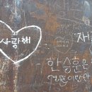 Only you 이미지