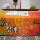 마소물로 이미지