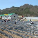 광업농장 이미지