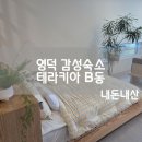 테라키아 이미지