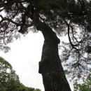 육단3리(문수동) 이미지