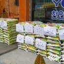 신포 이미지