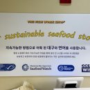 더피쉬디자인