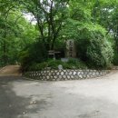 주산산림욕장 Daum카페