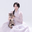 메이크업포유 - 서대문구 | [반려동물스튜디오] 더예쁨 메이크업 X 온앤포유 스튜디오 반려묘 동반 촬영 솔직 후기
