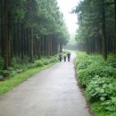 제주 금요일 오름산행 (2012 . 6 . 15 ) 석굴암 외 이미지