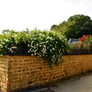 칠곡 지경당 이미지