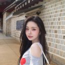 프리지아
