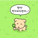 소수책방 이미지
