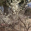 진주 두문리 이정표석 이미지