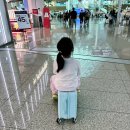 2015 | 대한항공 마카오 KE2015/KE2016편 탑승 후기 기내식 키즈밀 수속 꿀팁