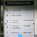 들려보개 펫살롱 네이버블로그