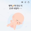 미주정밀(주) | 임신 13주~24주 기록🤰🏻🍓