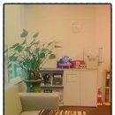 코끼리마취통증의학과의원 이미지