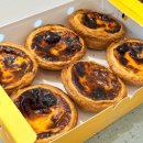 우먼로드중앙점 | [강원] 속초 에그타르트 맛집 마카오박 예약방법 및 후기