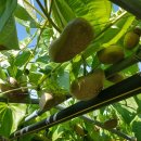 가신원통길 이미지