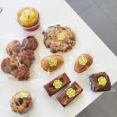 다무(Damoo) 이미지