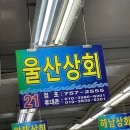 부산 광안리 횟집 민락회센터 울산상회 농어 밀치 전복 오징어 대하 포장 후기