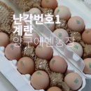 고려농장 | 난각번호1번계란 추천! 양구에덴농장 신선한 유정란 배송 후기