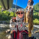 섬진강댐 | 섬진강 쏘가리 낚시 | 상류권 탐사 임실 천담리