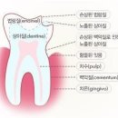 민치과의원 이미지