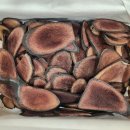 백호한의원 이미지