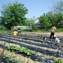 최승수농장 이미지