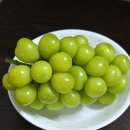 대길농장 | 배포큰농장 샤인머스캣 택배 주문 배송 후기