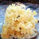 ㈜우성자원 이미지