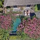 오션 클리프(4) 이미지