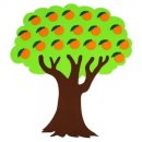 오렌지나무 이미지