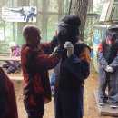 페인트볼 이미지