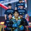 TSQ BOXING 이미지