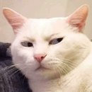 타타버거 | 부산; 떠나요~ 둘이서~ 모든걸 훌훌 버리고~