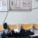 성주한우축산프라자 이미지